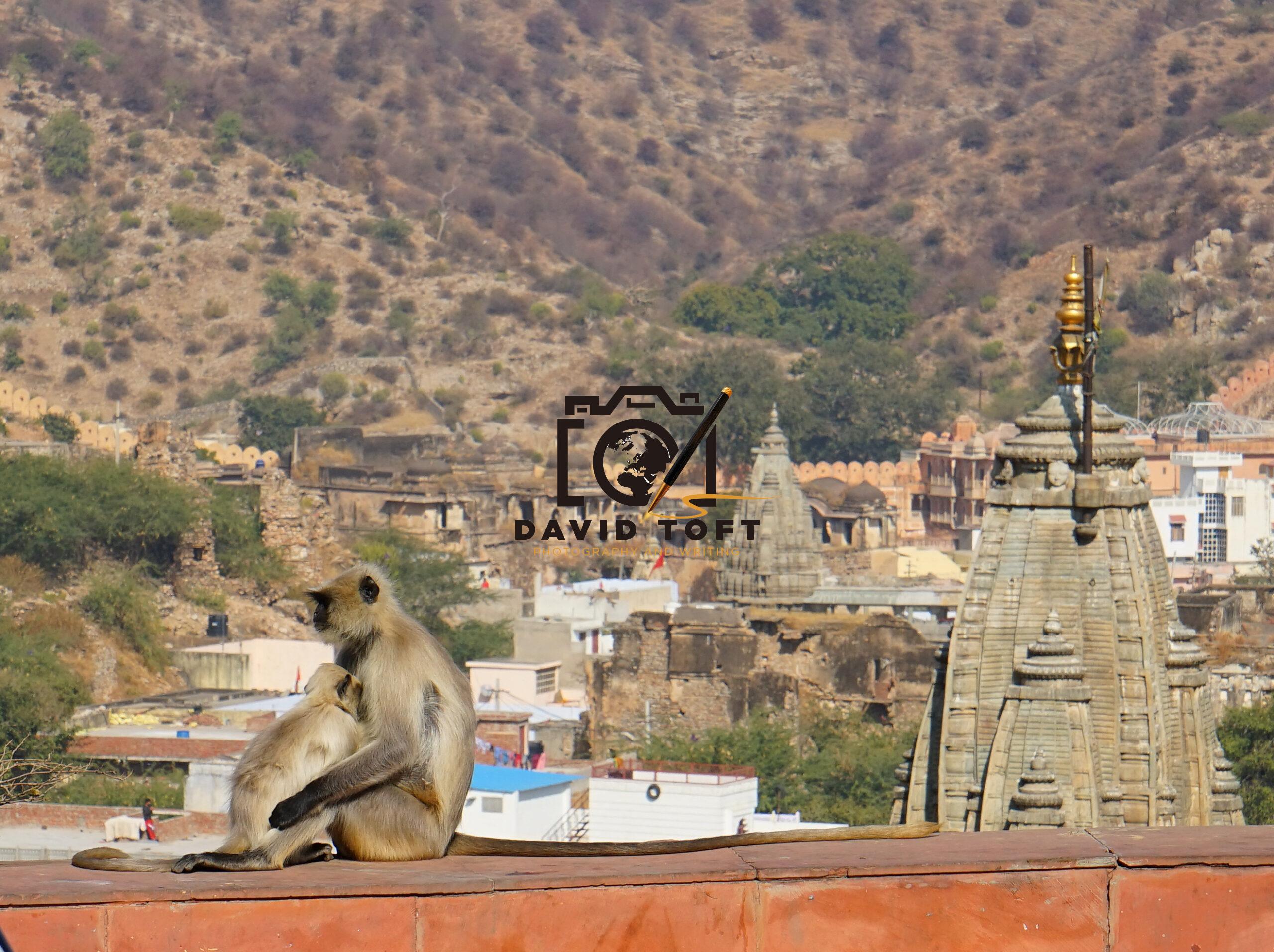 1 One day all this...